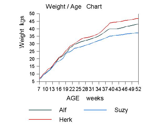 Age Vs Weight